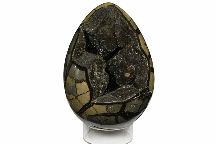Septarian Dragon Egg Geode - Crystal Filled #124468